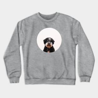 Buster the Havanese Dog Crewneck Sweatshirt